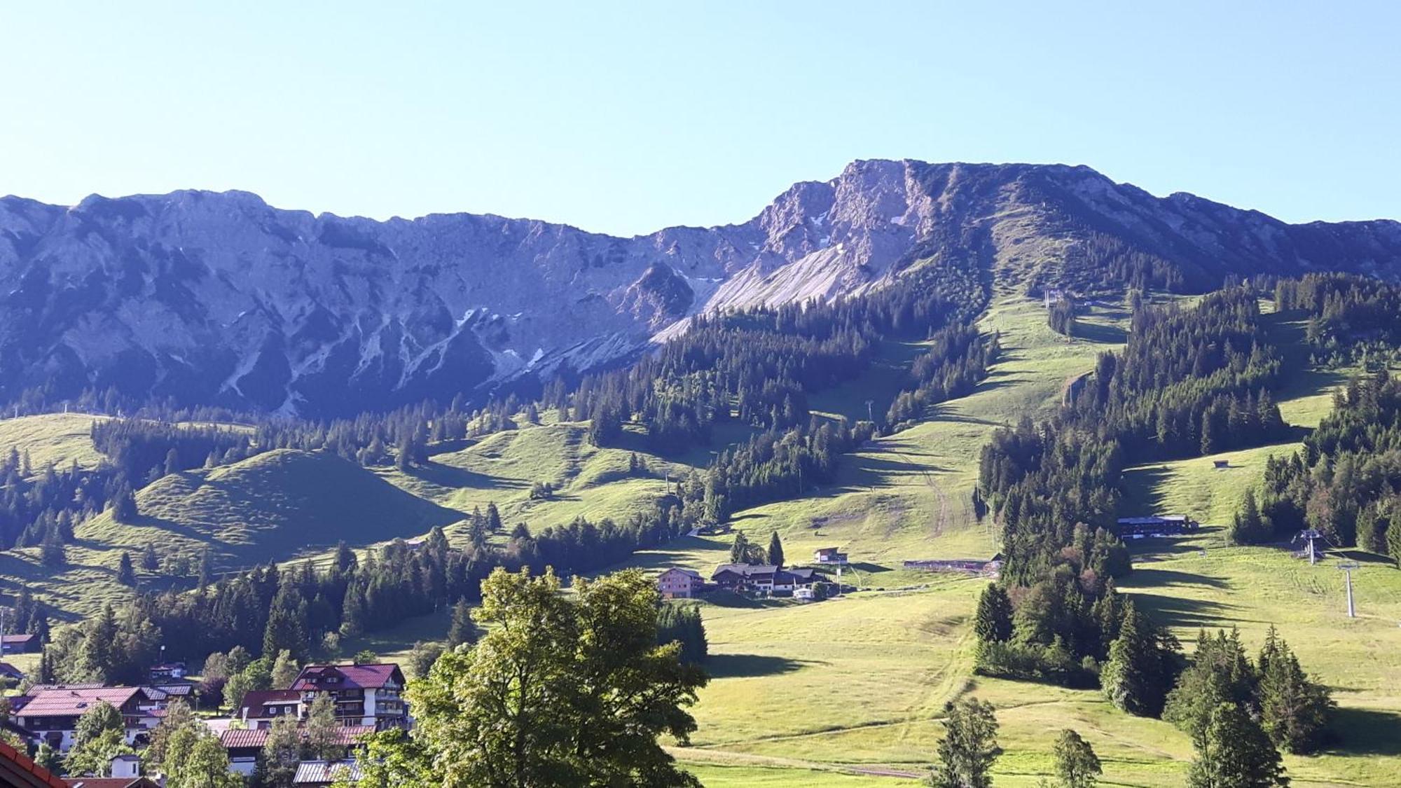 Hotel Alpengasthof Lowen Бад-Хинделанг Экстерьер фото